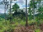 Land for Sale Gelioya