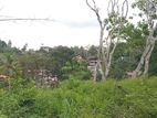 Land for Sale Gelioya