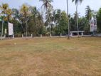 Land for Sale Giriulla