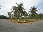 Land for Sale Giriulla