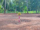 Land for Sale Giriulla