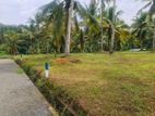 Land for sale ගම්පහ කිරිදිවැල 231 බස් පාර අසලින්