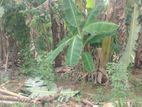 Land for Sale – Godagama
