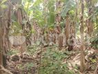 Land for Sale – Godagama