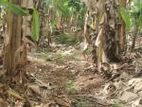 Land for Sale – Godagama