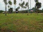Land For Sale Gonagama
