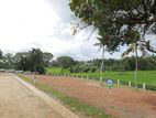 Land For Sale Gonamadiththa, Piliyandala(S20)