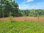 Land for sale - Gonapala