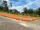 land for sale gonapala