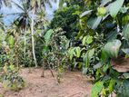 Land for Sale Gonapala Weediyagoda Road