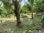 Land for Sale - Gonapola