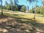 Land for Sale Gorakana