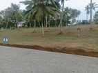Land for Sale Gorakana