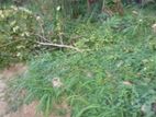 Land for Sale Gothatuwa