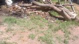 Land for Sale Gothatuwa