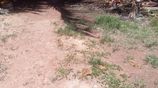 Land for Sale Gothatuwa