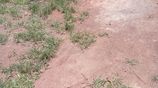 Land for Sale Gothatuwa