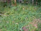 Land for Sale ගොතටුව