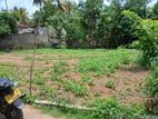 Land for Sale Govikam Pedesa Road Raththanapitiya