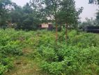 LAND FOR SALE GPS ROAD KOPAI