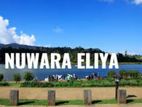 Land for Sale Gregory Lake Limit Nuwara Eliya