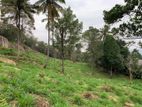Land for Sale Gurudeniya