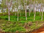 Land for Sale Habaraduwa Dikkumbura Road