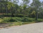 Land for sale Habaraduwa Dikkumbura road