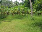 Land for Sale Habaraduwa