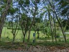 Land for Sale Habaraduwa