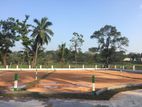 Land For Sale - Habarakada