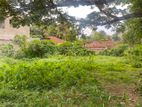 Land For Sale Hakmana (10019sm)