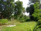 Land For Sale Hakmana