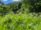 Land For Sale Hakmana