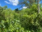 Land For Sale Hakmana