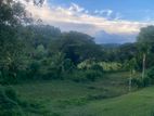 Land For Sale Hakmana