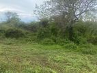 Land For Sale Hakmana