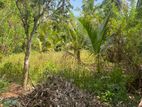 Land For Sale Hakmana