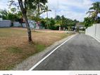 Land for sale Halgadaniya