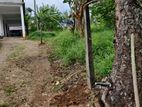 Land for Sale Hanguranketha