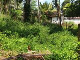 Land for Sale Hanwella