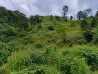 Land For Sale – Hanwella