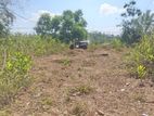 Land for Sale Hapugala