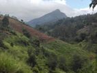 Land for Sale-Haputhale