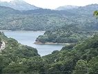 Land for Sale - Haragama
