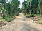 Land for Sale Haragama