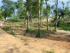 Land for Sale Haragama