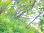 Land for Sale Haragama