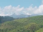 Land for sale Hatton