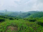 Land for Sale Hatton